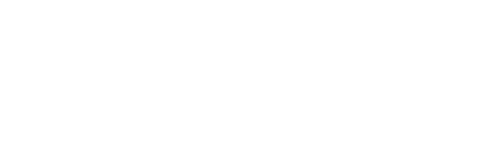 Kessler Scholars